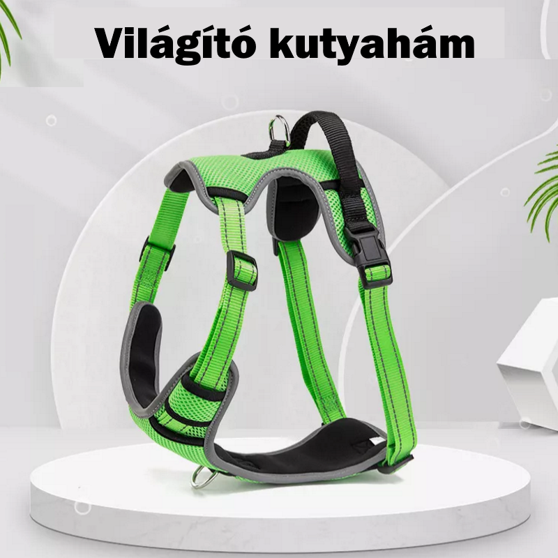 Világító LED-es kutyahám